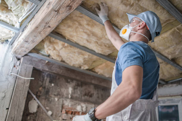 Best Professional Insulation Contractor  in Rahway, NJ