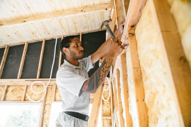 Best Cellulose Insulation  in Rahway, NJ