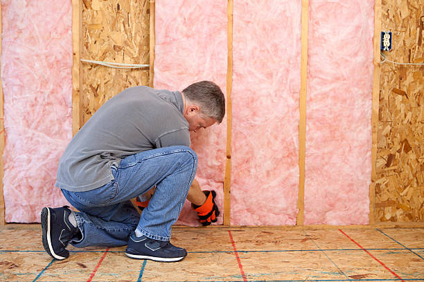 Best Insulation Removal  in Rahway, NJ